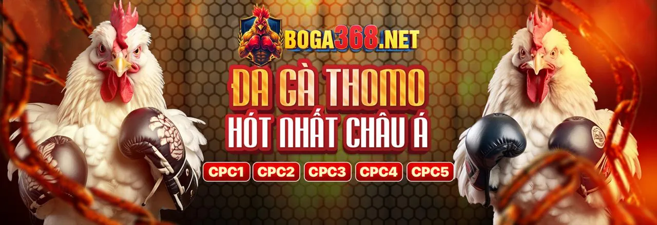 Sân vận động với ánh đèn rực rỡ và logo nohu77, biểu tượng của cá cược thể thao đỉnh cao